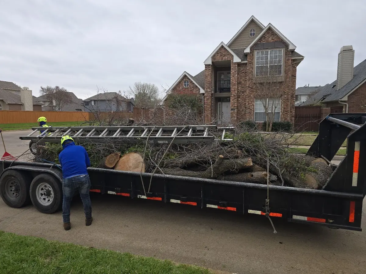 Expert Lot Clearing with proper safety equipment in South Range
